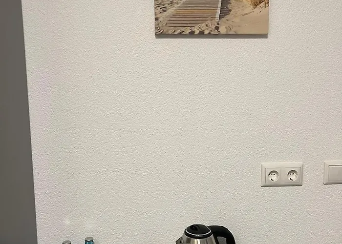 Dido Diamond 迪岑巴赫